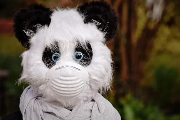 9 Cazino Cazinou Suport